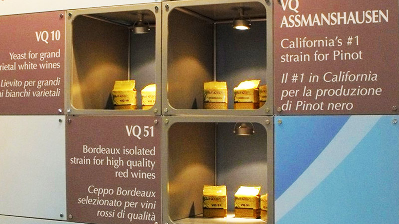 portable stands for events 