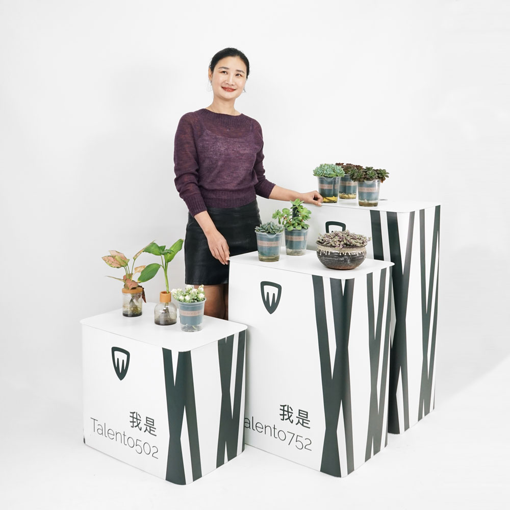 portable rectangular display stand 